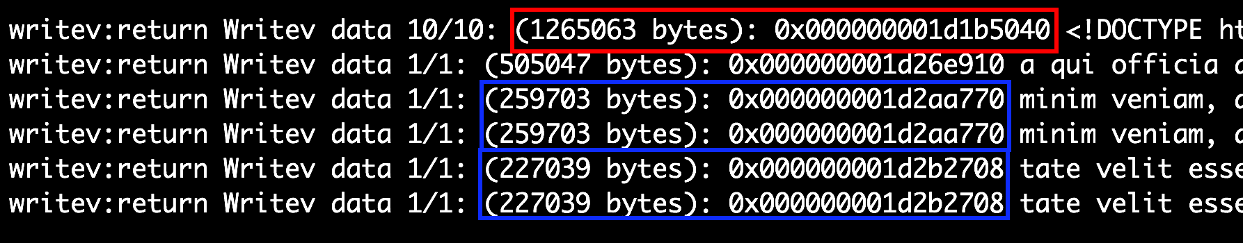 Screenshot of writev system calls generated by Cowboy for a Phoenix application